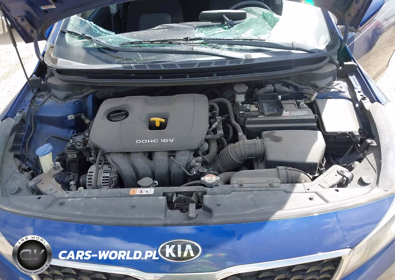 2017 Kia Forte S VIN:3KPFL4A73HE140132 - 10