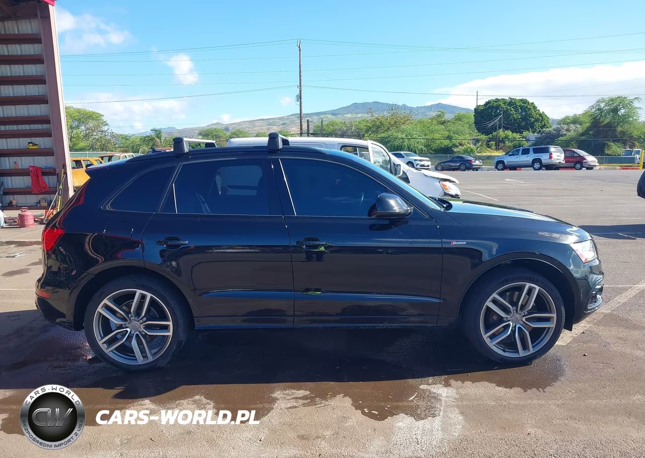 2015 Audi Sq5 3.0T Premium Plus VIN:WA1CGAFP8FA107507 - 13