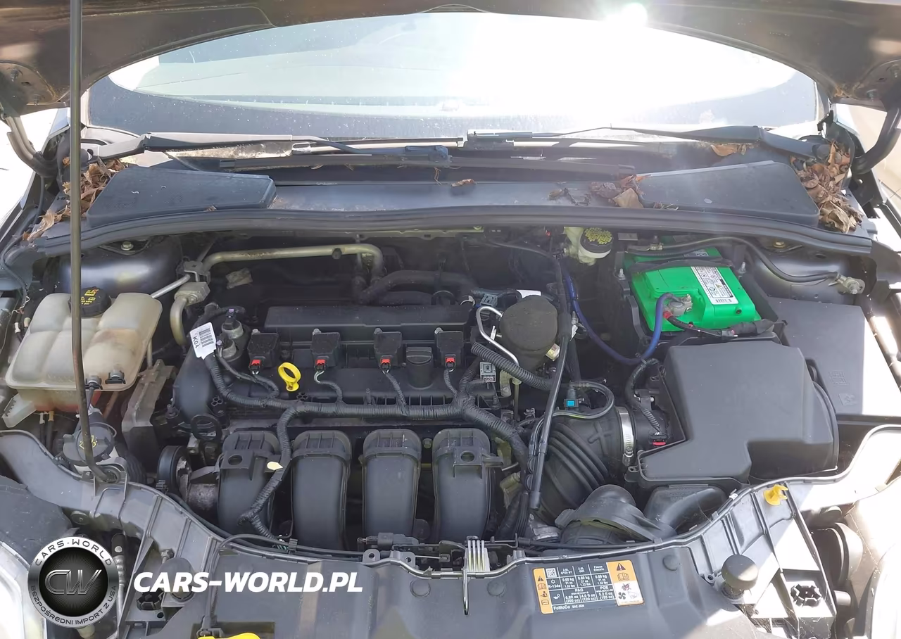 2014 Ford Focus Se VIN:1FADP3K20EL395676 - 10