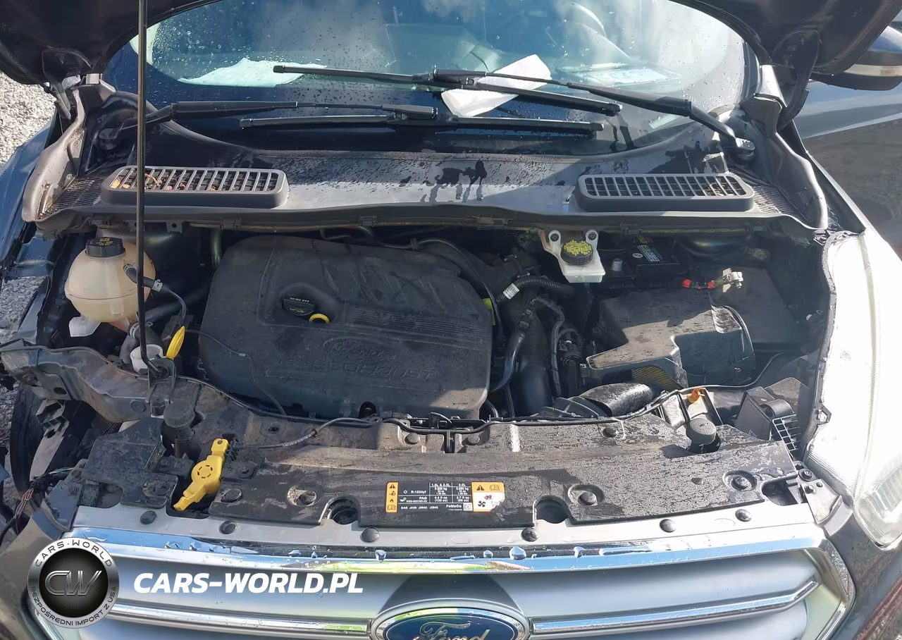 2017 Ford Escape Titanium VIN:1FMCU0JD8HUC19128 - 10