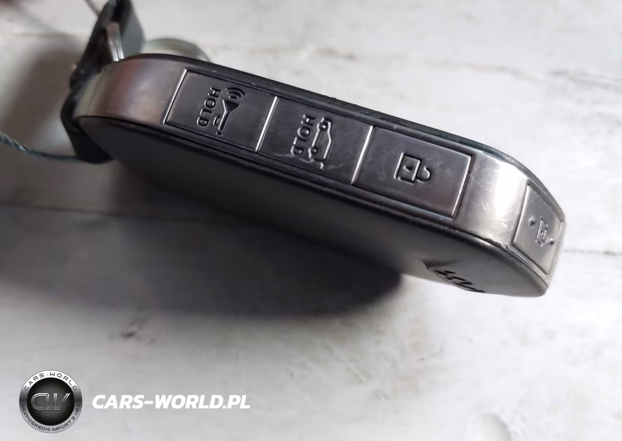 2023 Kia Telluride Sx Prestige X-Pro VIN:5XYP5DGC0PG406596 - 11