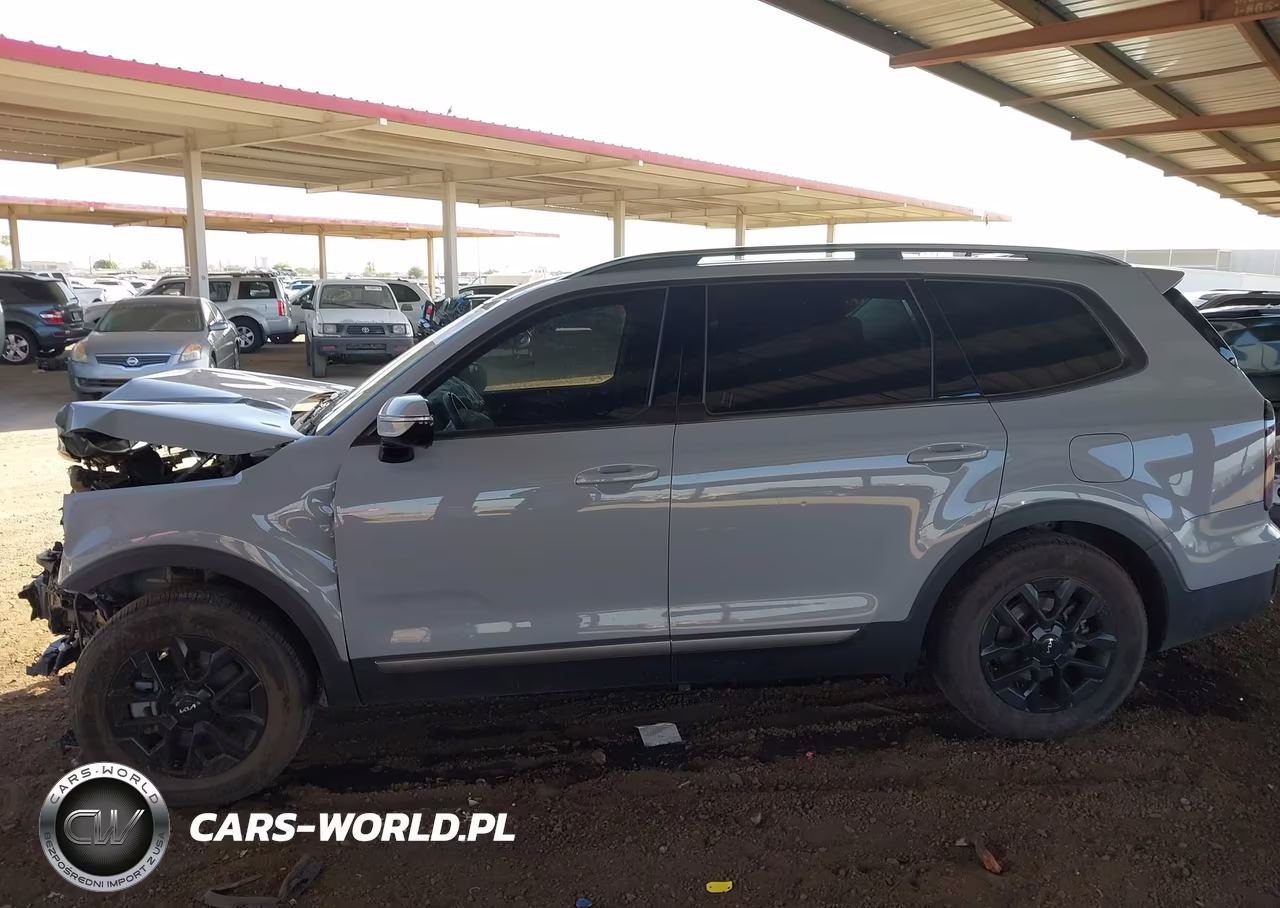 2023 Kia Telluride Sx Prestige X-Pro VIN:5XYP5DGC0PG406596 - 15