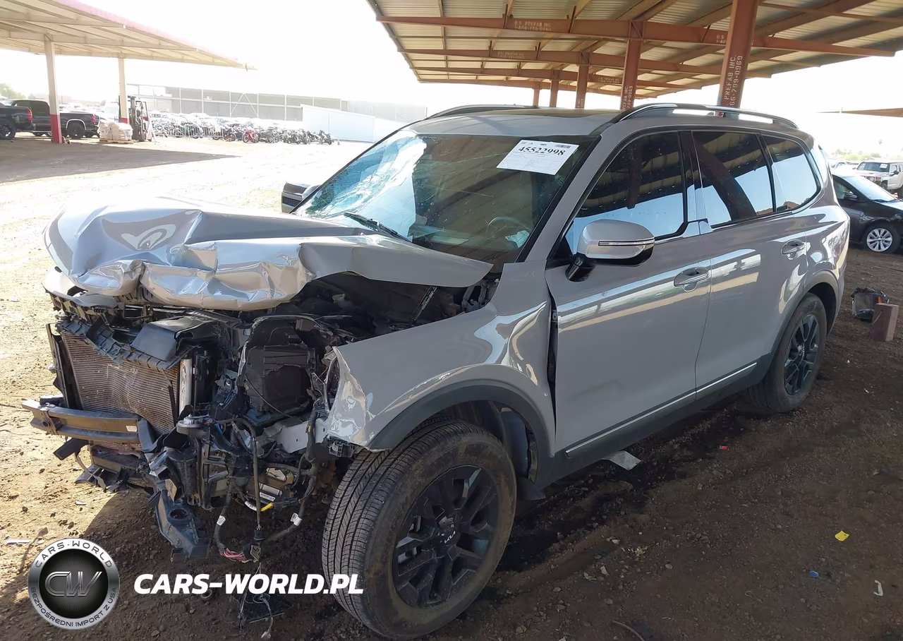 2023 Kia Telluride Sx Prestige X-Pro VIN:5XYP5DGC0PG406596 - 2