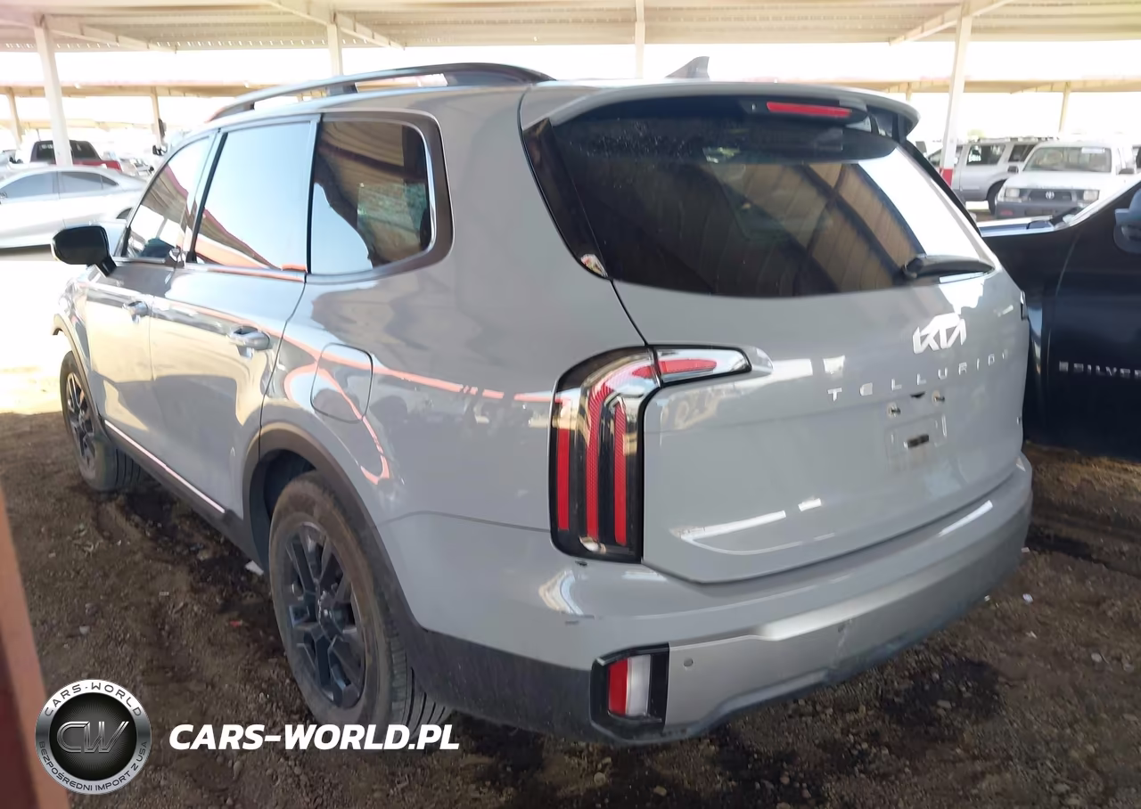 2023 Kia Telluride Sx Prestige X-Pro VIN:5XYP5DGC0PG406596 - 3