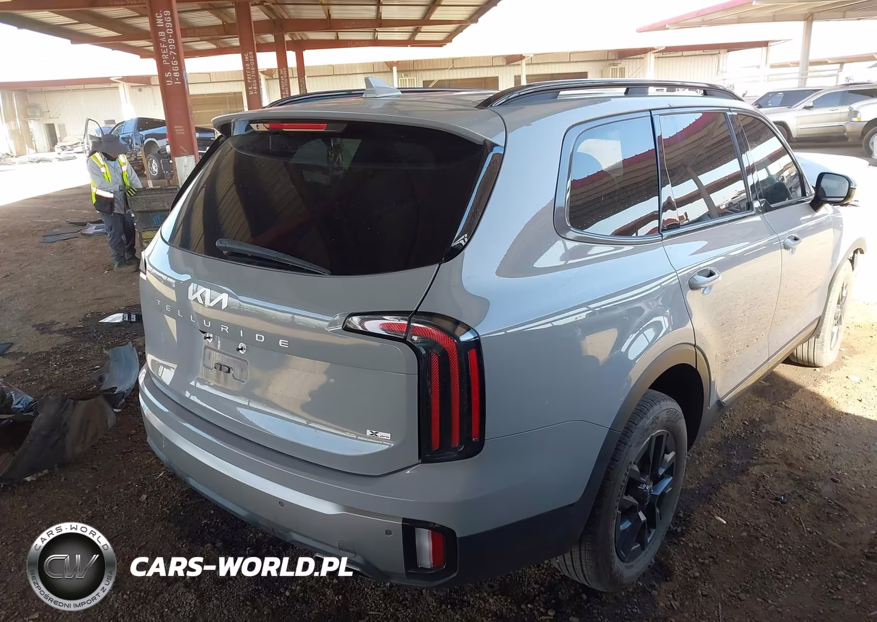 2023 Kia Telluride Sx Prestige X-Pro VIN:5XYP5DGC0PG406596 - 4