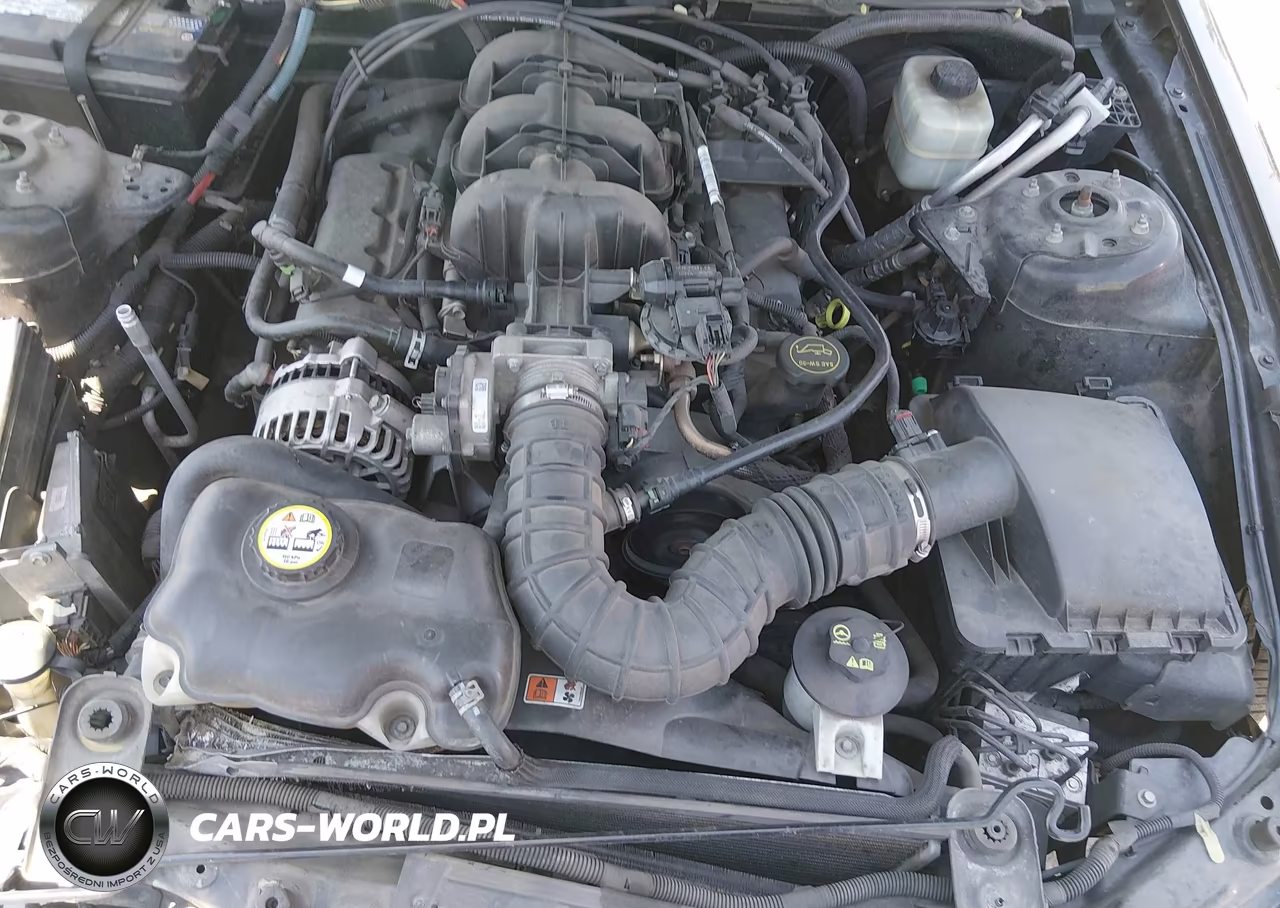 2006 Ford Mustang V6 VIN:1ZVFT80N865162432 - 10