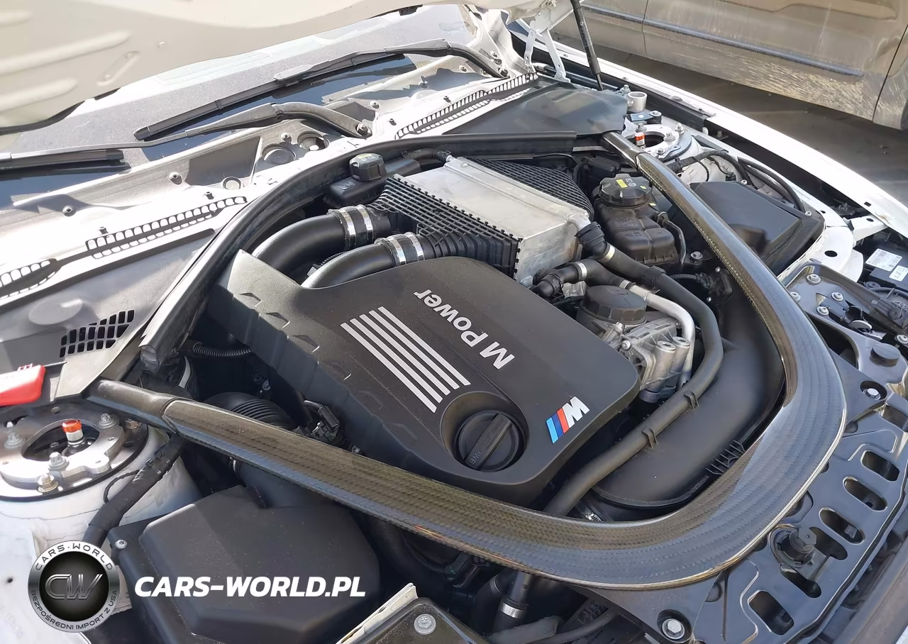 2015 BMW M4 VIN:WBS3R9C59FK332443 - 10