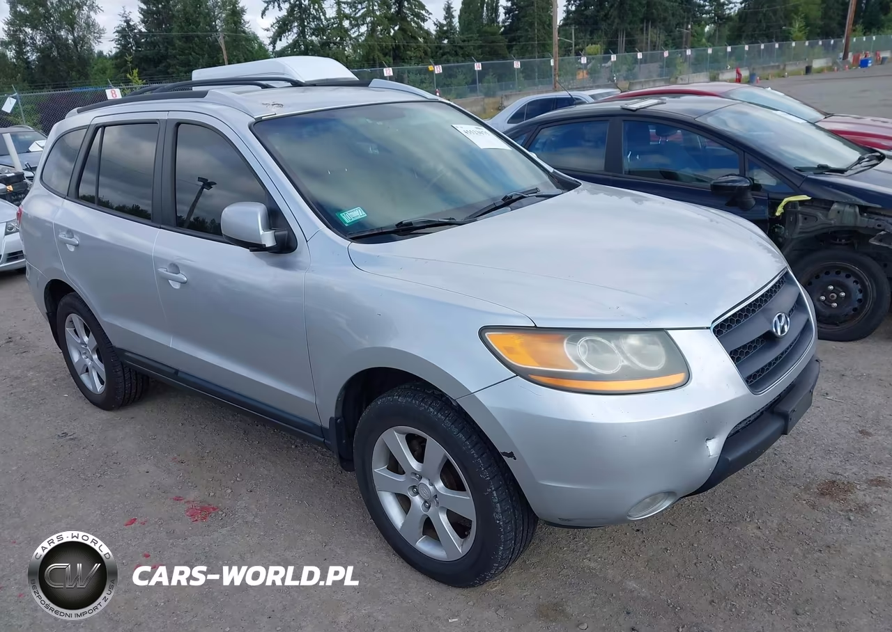 2009 Hyundai Santa Fe Se – zdjęcie 1 z 11