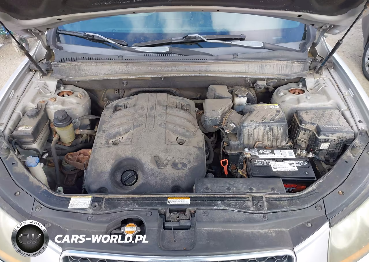 2009 Hyundai Santa Fe Se VIN:5NMSH13EX9H238577 - 10