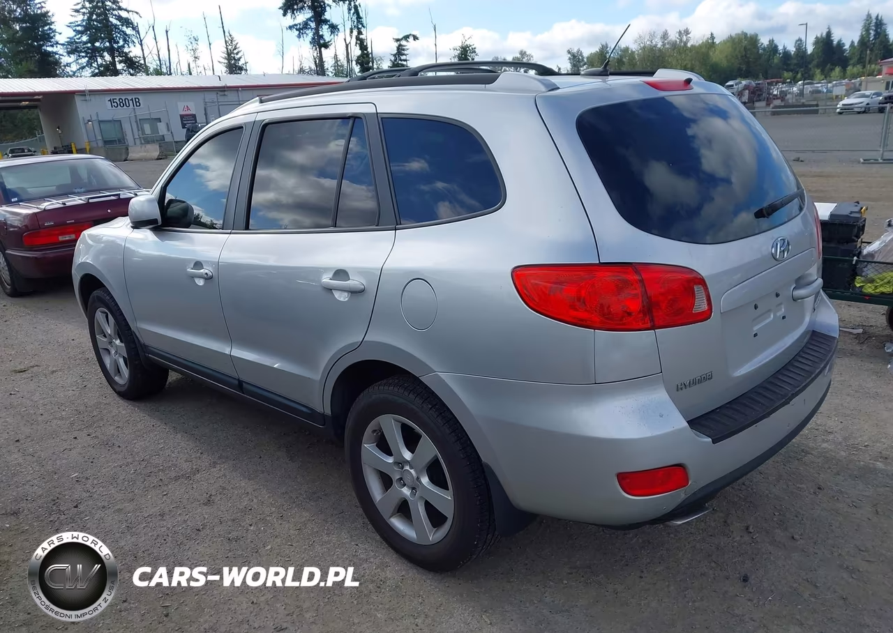 2009 Hyundai Santa Fe Se VIN:5NMSH13EX9H238577 - 3