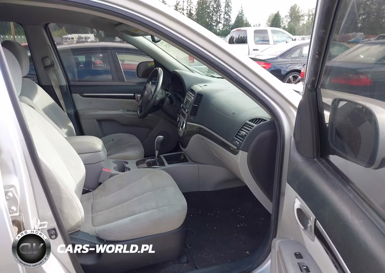 2009 Hyundai Santa Fe Se VIN:5NMSH13EX9H238577 - 5