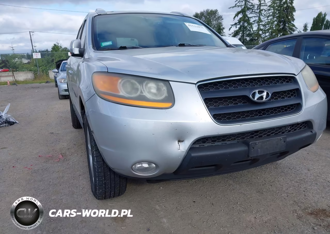 2009 Hyundai Santa Fe Se VIN:5NMSH13EX9H238577 - 6