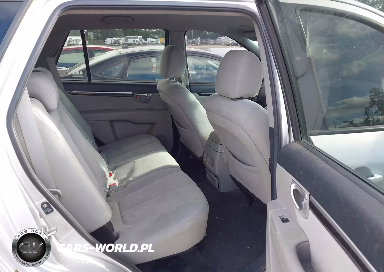 2009 Hyundai Santa Fe Se VIN:5NMSH13EX9H238577 - 8