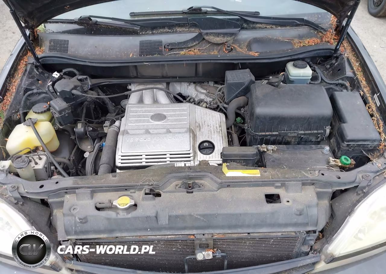 2003 Lexus Rx 300 VIN:JTJHF10U930312832 - 10