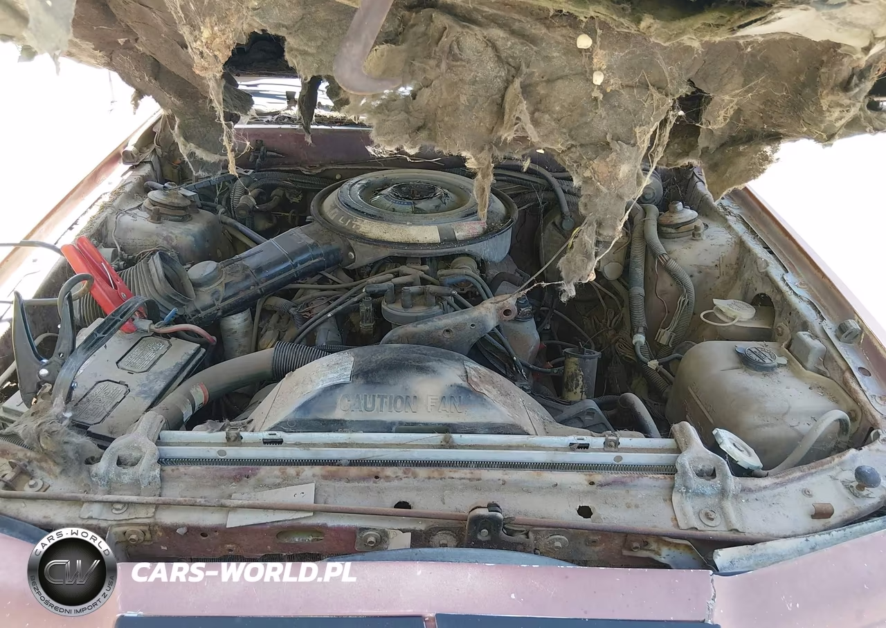 1985 Ford Thunderbird VIN:1FABP46F1FH203552 - 10