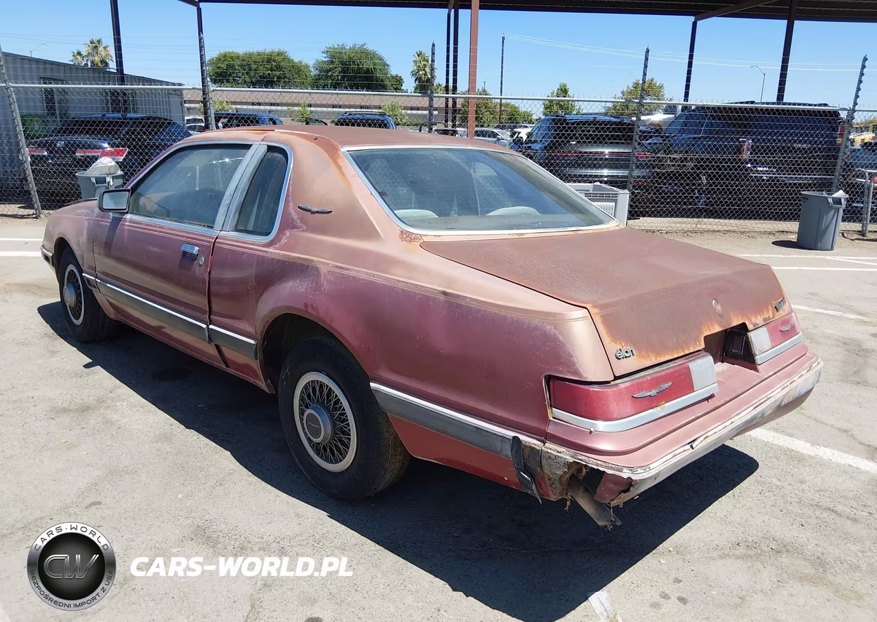 1985 Ford Thunderbird VIN:1FABP46F1FH203552 - 3