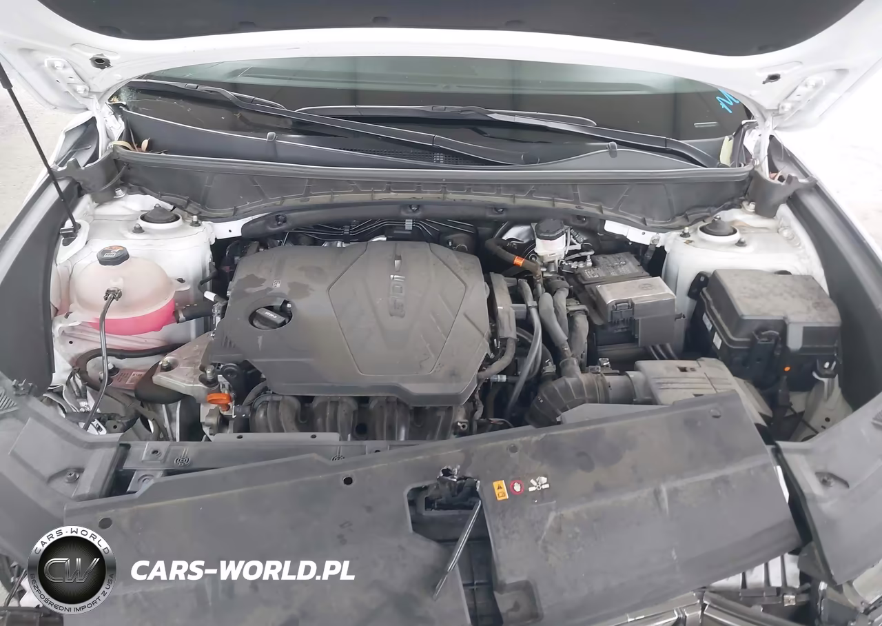 2023 Hyundai Tucson Limited VIN:5NMJECAE4PH238705 - 10