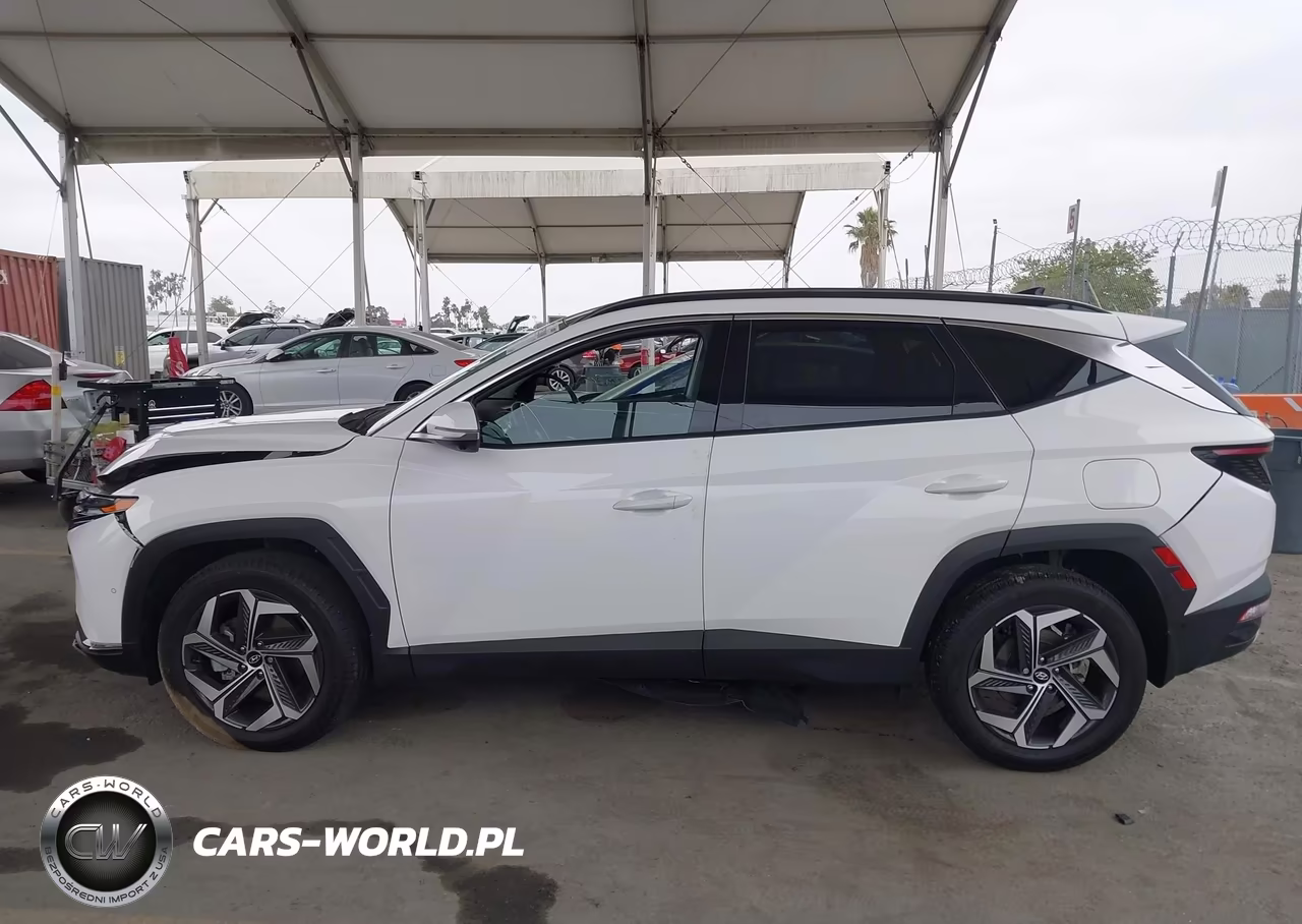 2023 Hyundai Tucson Limited VIN:5NMJECAE4PH238705 - 15
