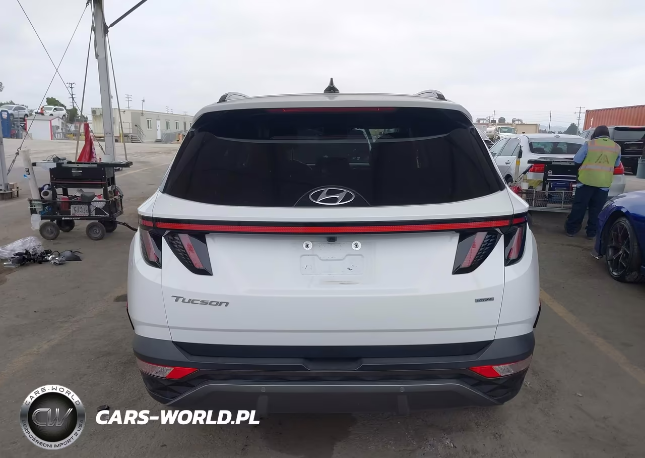 2023 Hyundai Tucson Limited VIN:5NMJECAE4PH238705 - 17