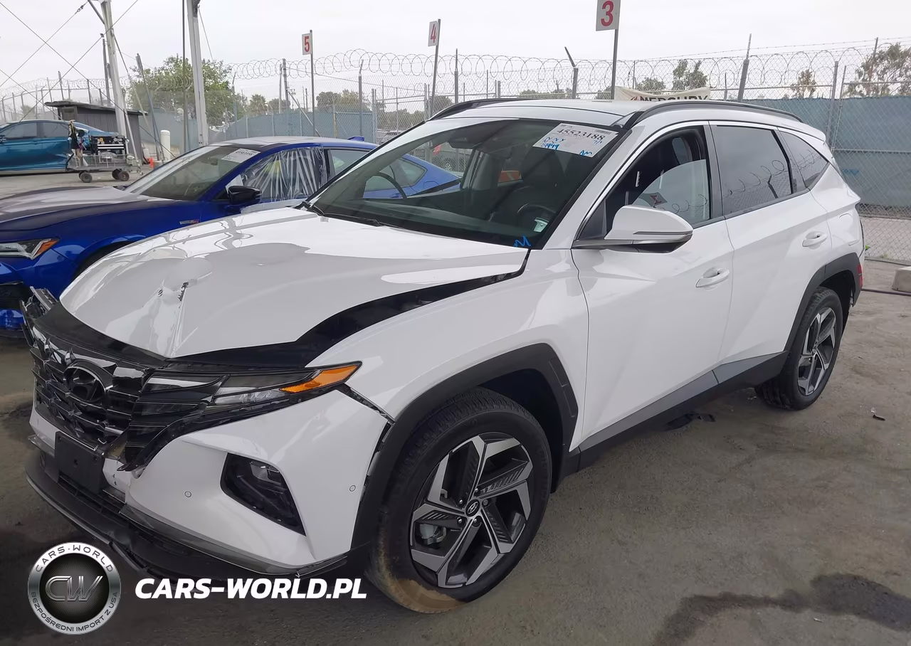 2023 Hyundai Tucson Limited VIN:5NMJECAE4PH238705 - 2