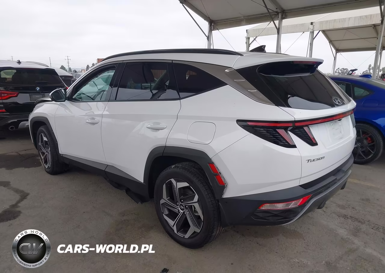 2023 Hyundai Tucson Limited VIN:5NMJECAE4PH238705 - 3