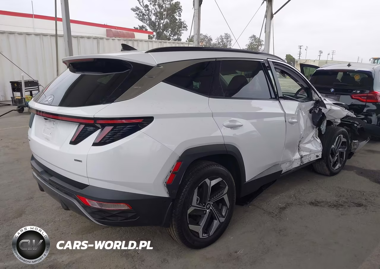 2023 Hyundai Tucson Limited VIN:5NMJECAE4PH238705 - 4
