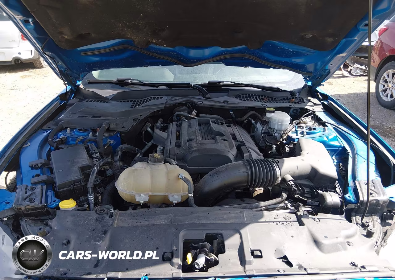 2019 Ford Mustang Ecoboost-Ecoboost Premium VIN:1FA6P8TH8K5120436 - 10