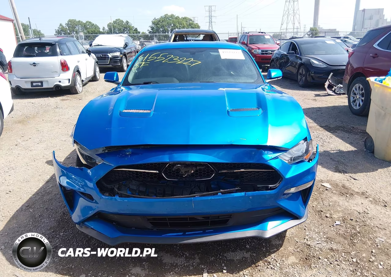 2019 Ford Mustang Ecoboost-Ecoboost Premium VIN:1FA6P8TH8K5120436 - 12