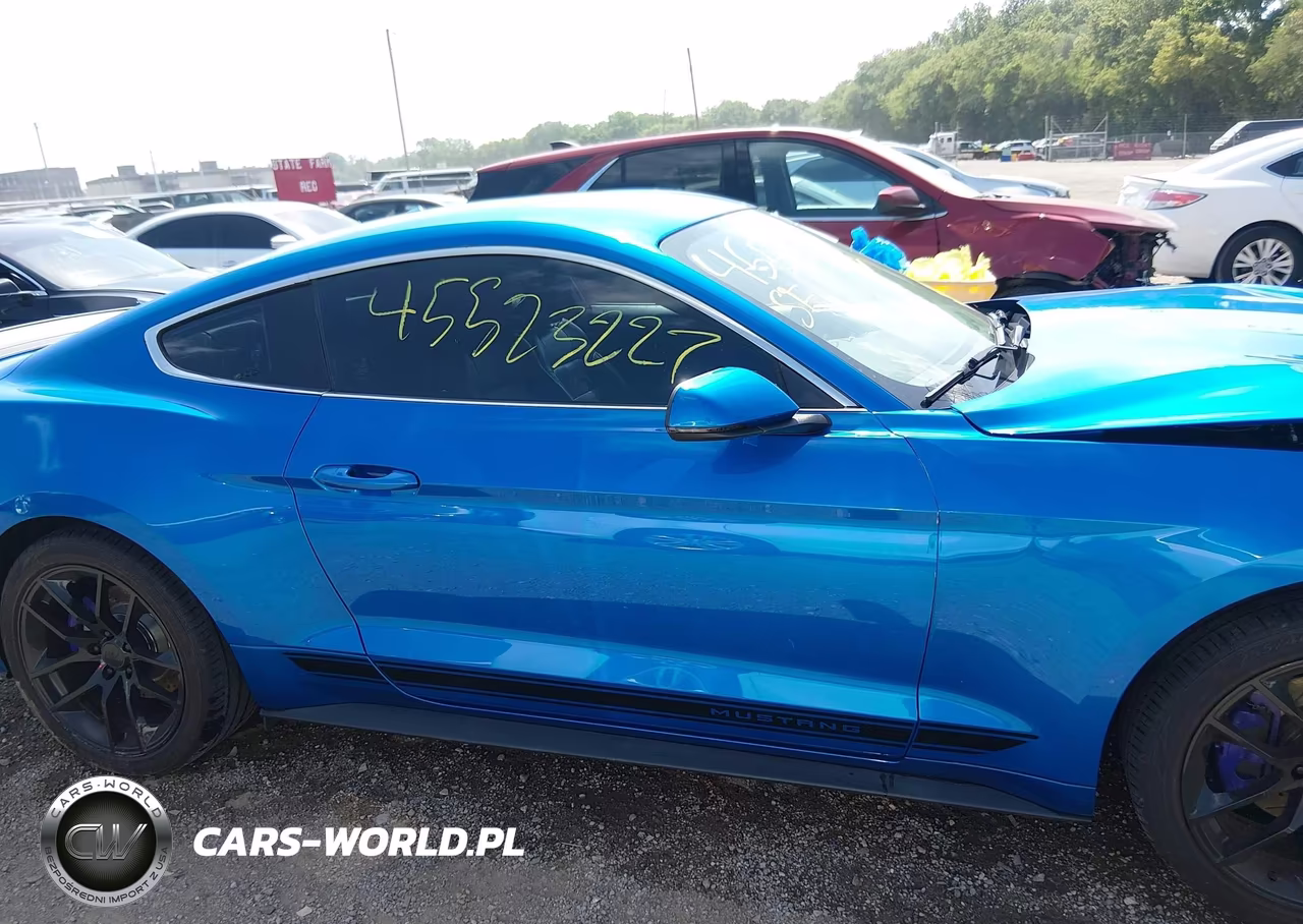 2019 Ford Mustang Ecoboost-Ecoboost Premium VIN:1FA6P8TH8K5120436 - 13