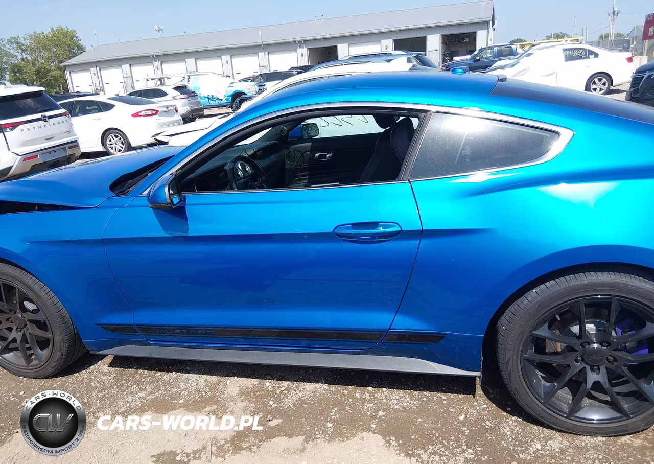 2019 Ford Mustang Ecoboost-Ecoboost Premium VIN:1FA6P8TH8K5120436 - 14