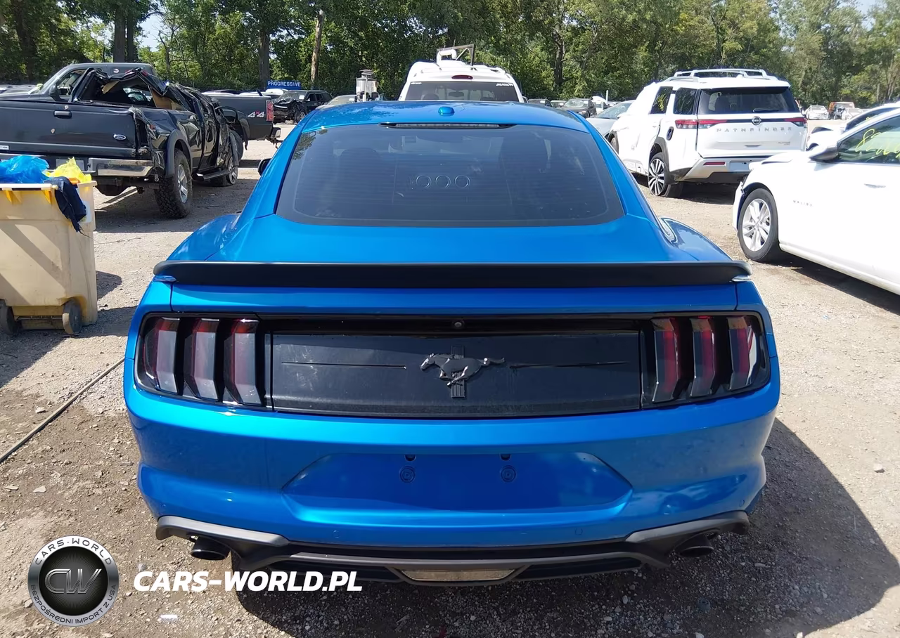 2019 Ford Mustang Ecoboost-Ecoboost Premium VIN:1FA6P8TH8K5120436 - 16