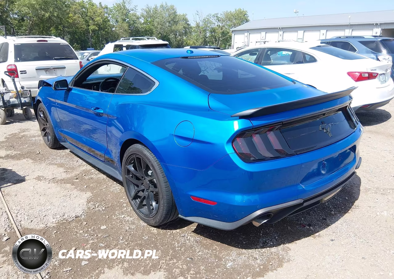 2019 Ford Mustang Ecoboost-Ecoboost Premium VIN:1FA6P8TH8K5120436 - 3