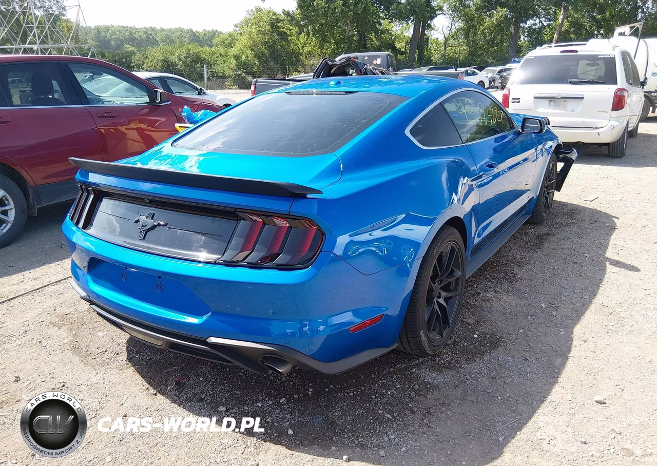 2019 Ford Mustang Ecoboost-Ecoboost Premium VIN:1FA6P8TH8K5120436 - 4