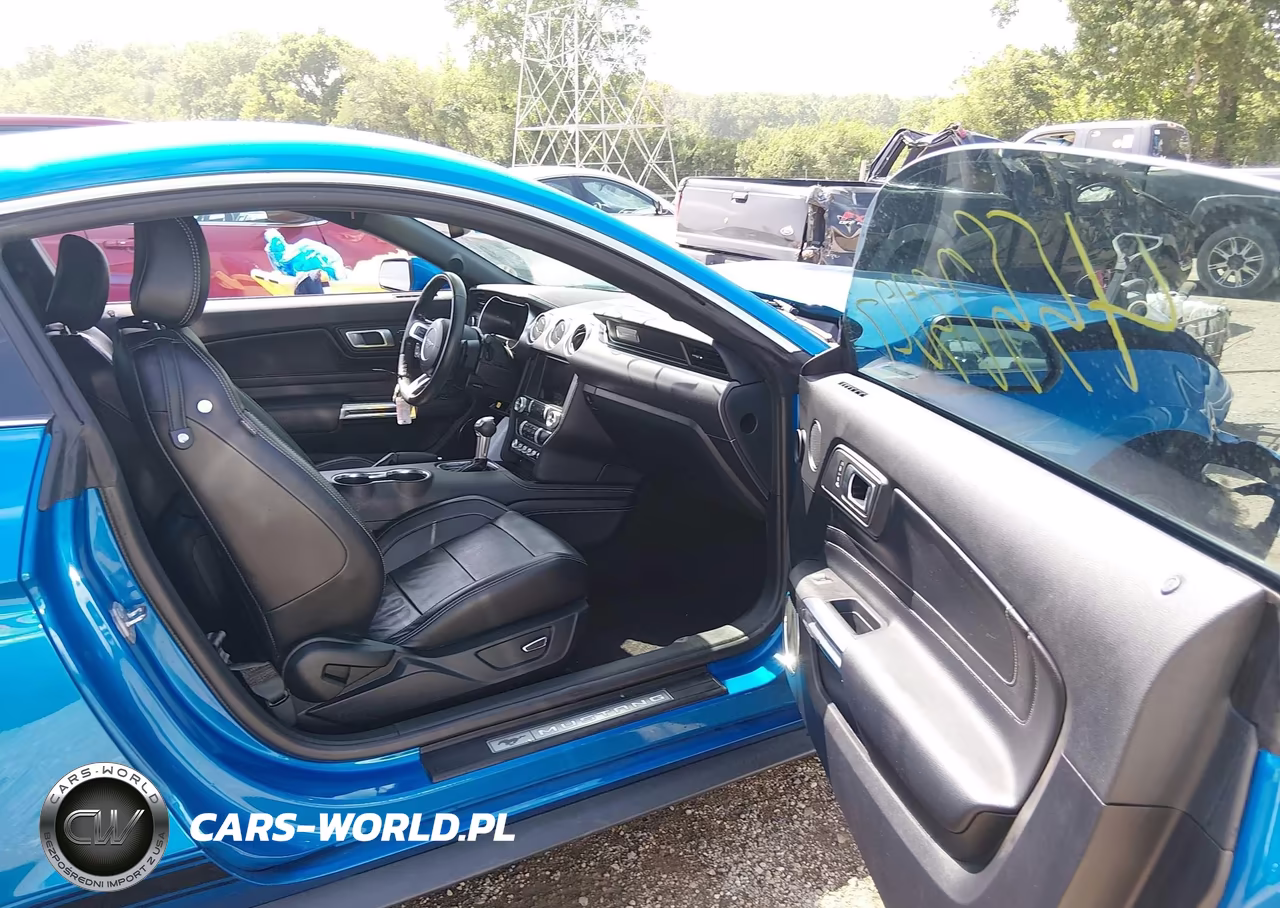2019 Ford Mustang Ecoboost-Ecoboost Premium VIN:1FA6P8TH8K5120436 - 5