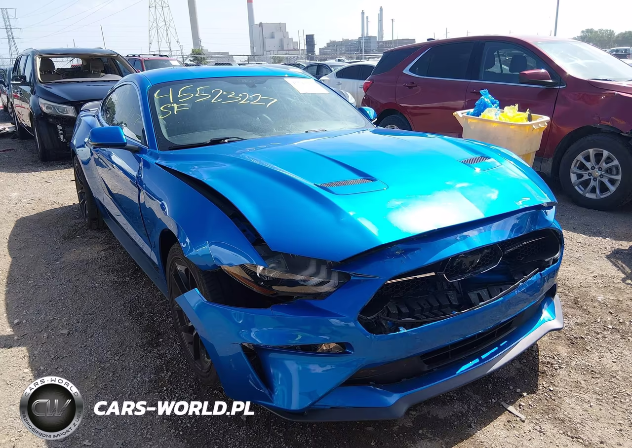 2019 Ford Mustang Ecoboost-Ecoboost Premium VIN:1FA6P8TH8K5120436 - 6