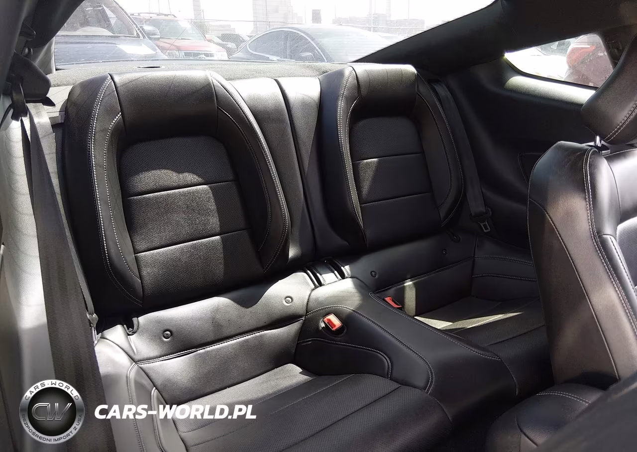 2019 Ford Mustang Ecoboost-Ecoboost Premium VIN:1FA6P8TH8K5120436 - 8