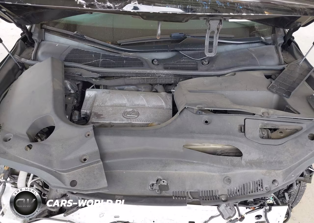 2015 Lexus Rx 350 VIN:2T2BK1BA2FC267696 - 10