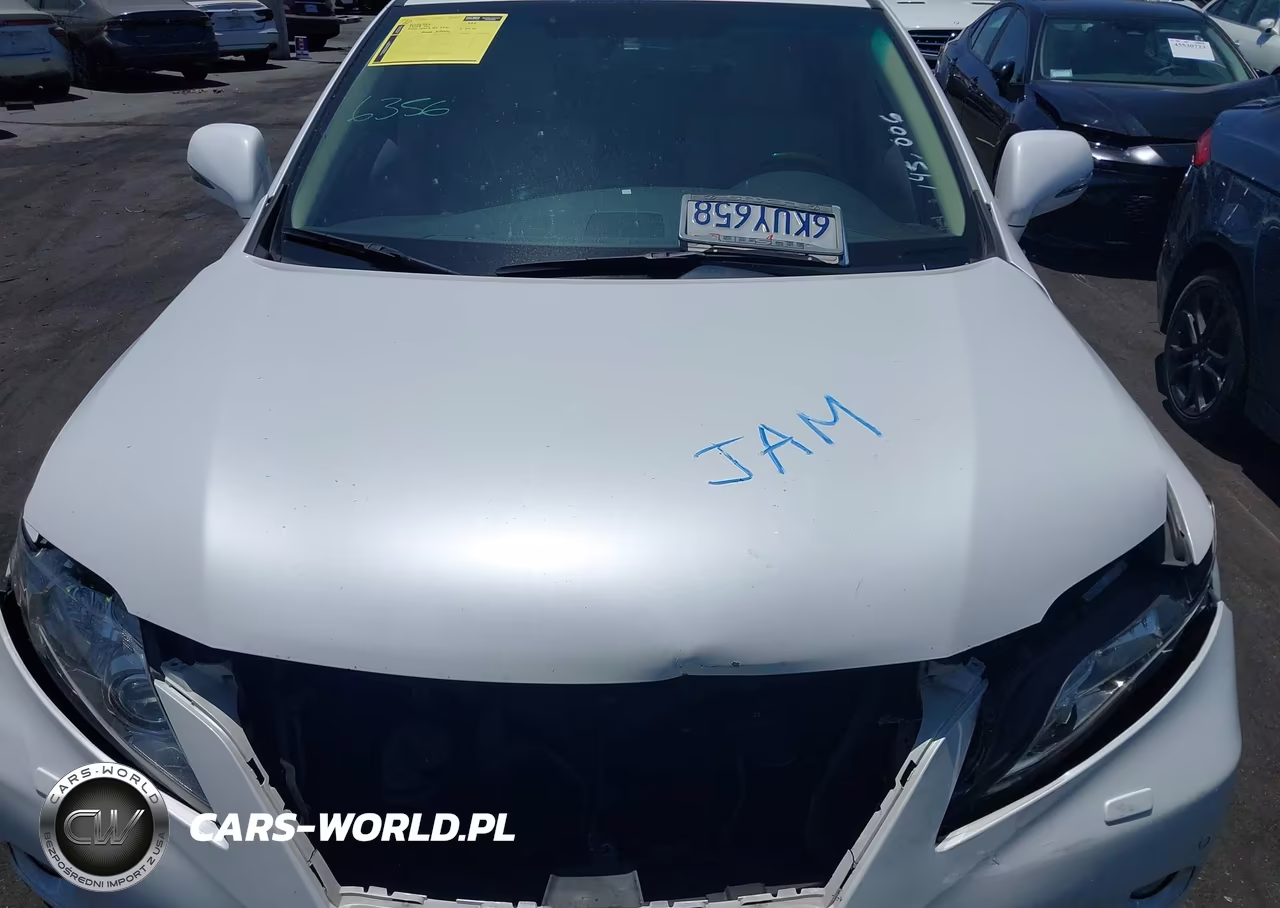 2010 Lexus Rx 350 VIN:JTJZK1BA9A2409095 - 10