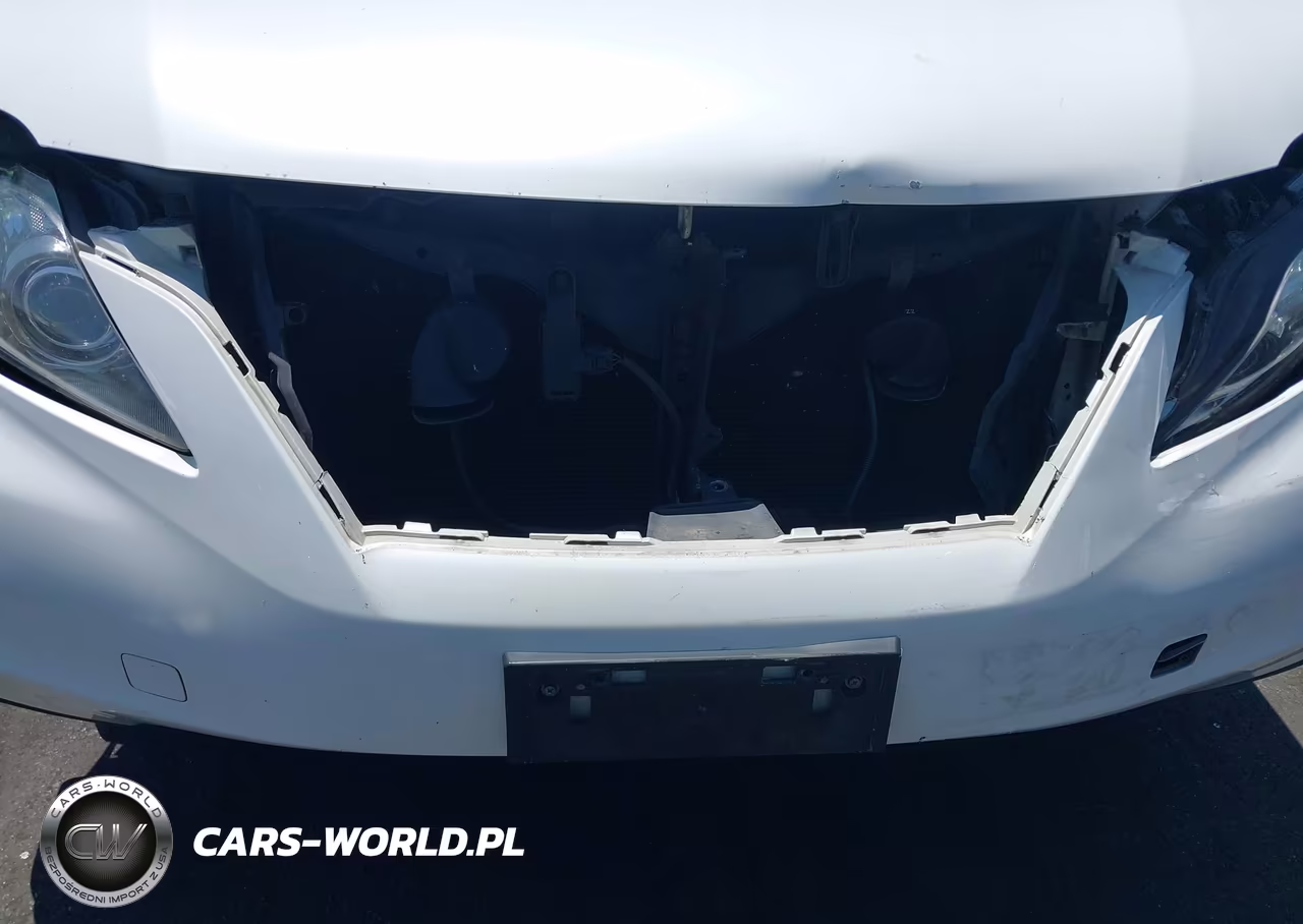 2010 Lexus Rx 350 VIN:JTJZK1BA9A2409095 - 6