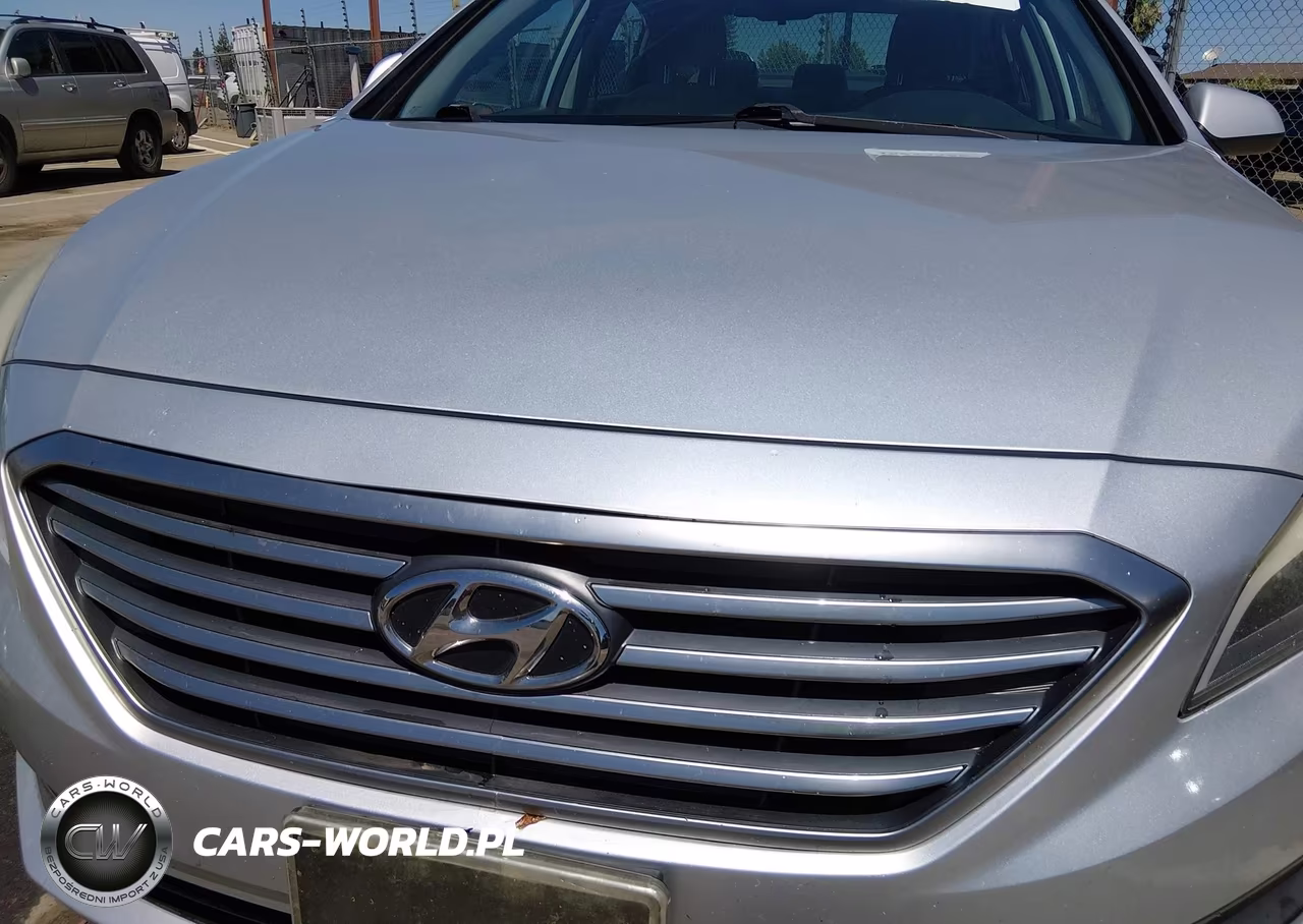 2016 Hyundai Sonata Se VIN:5NPE24AF4GH268329 - 6