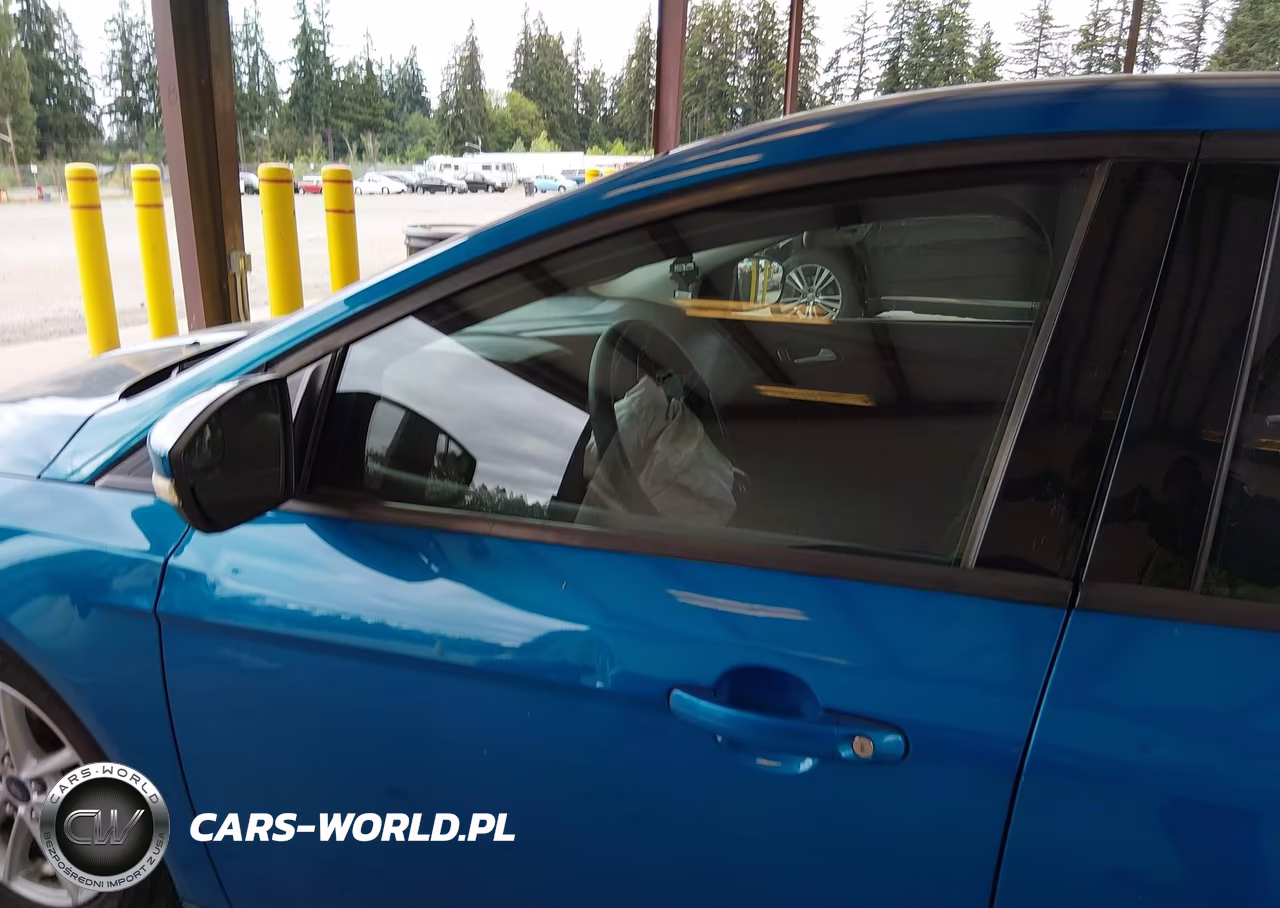 2016 Ford Focus Se VIN:1FADP3K27GL234664 - 15