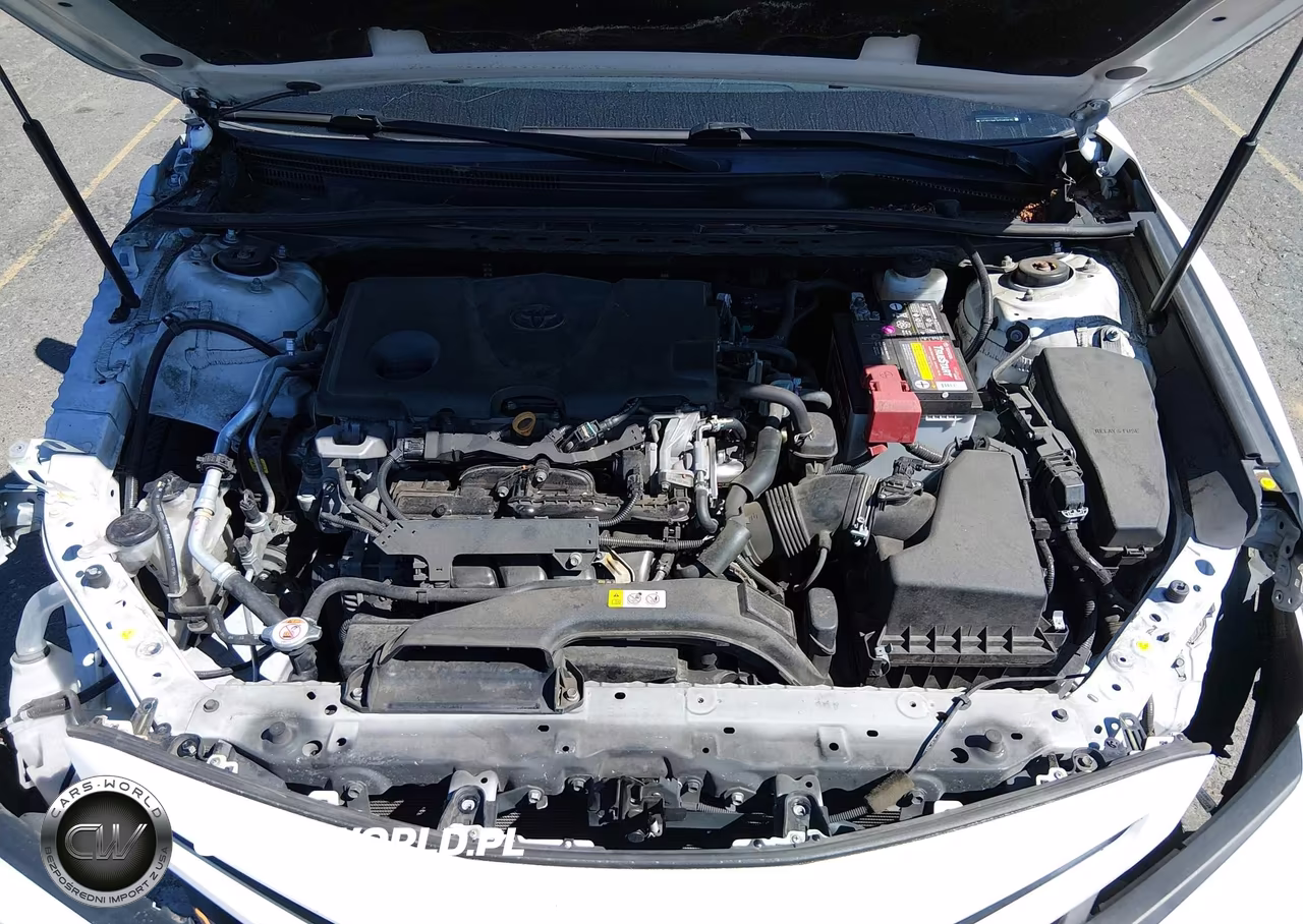 2019 Toyota Camry Se VIN:4T1B11HK3KU165615 - 10