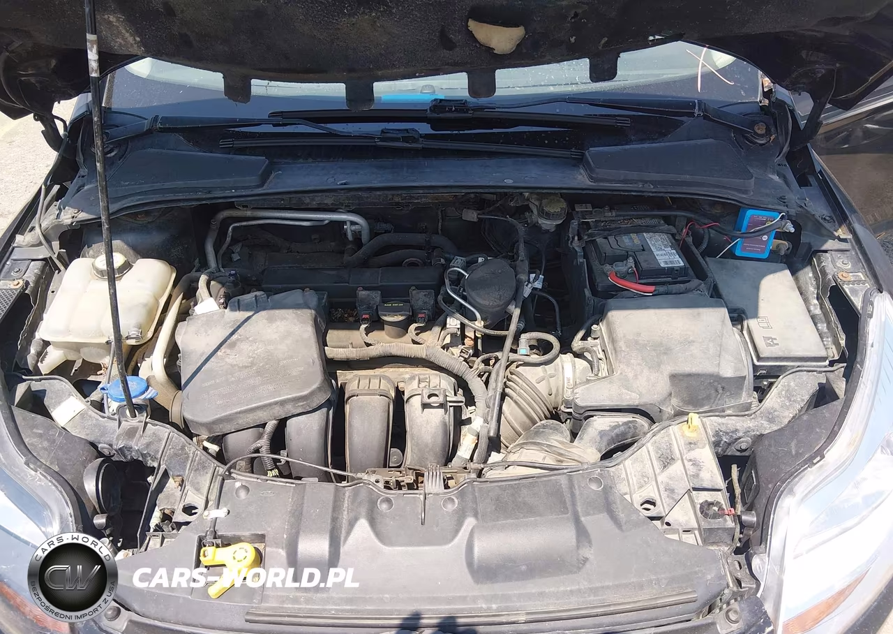 2013 Ford Focus Se VIN:1FADP3F2XDL138422 - 10
