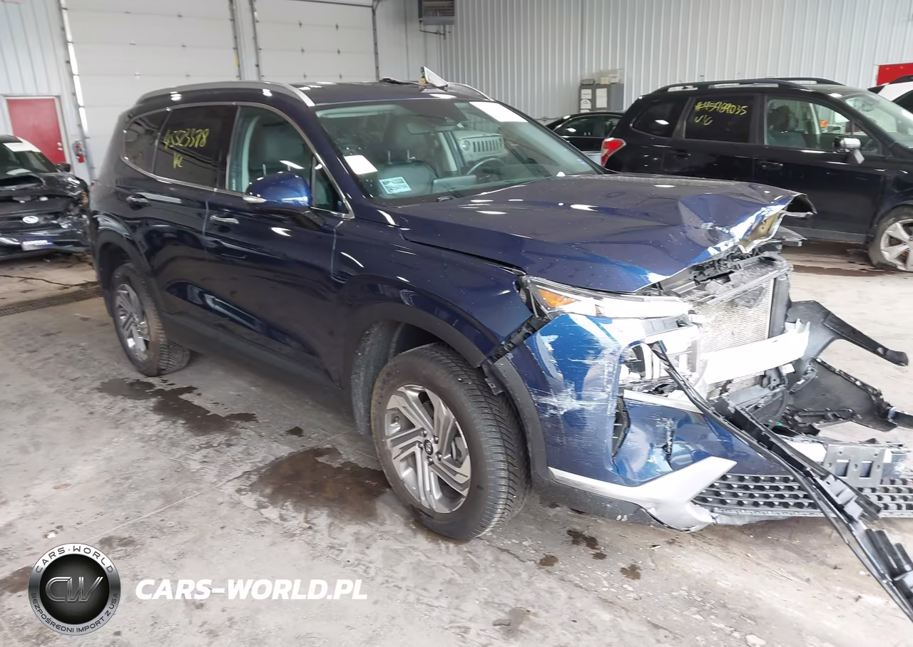 2023 Hyundai Santa Fe Sel VIN:5NMS2DAJ9PH557730 - 1