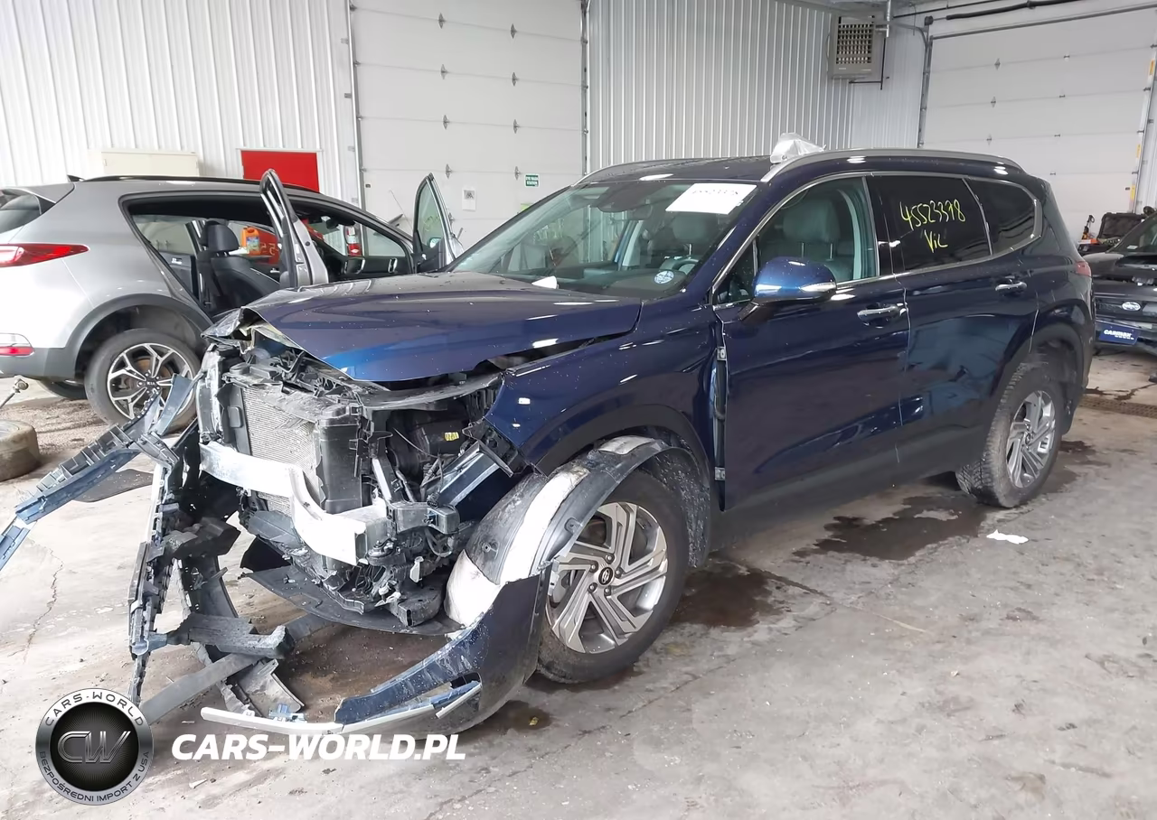 2023 Hyundai Santa Fe Sel VIN:5NMS2DAJ9PH557730 - 2