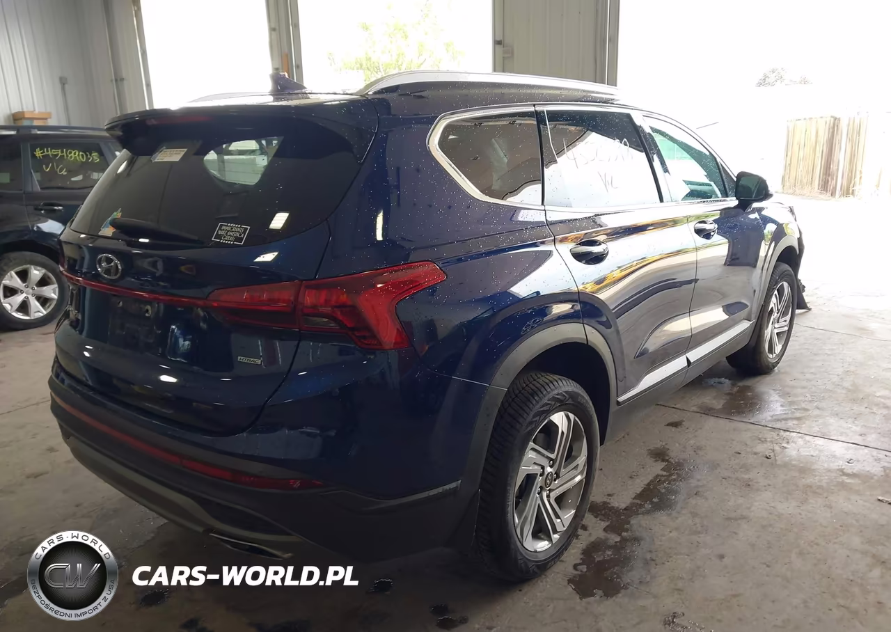 2023 Hyundai Santa Fe Sel VIN:5NMS2DAJ9PH557730 - 4