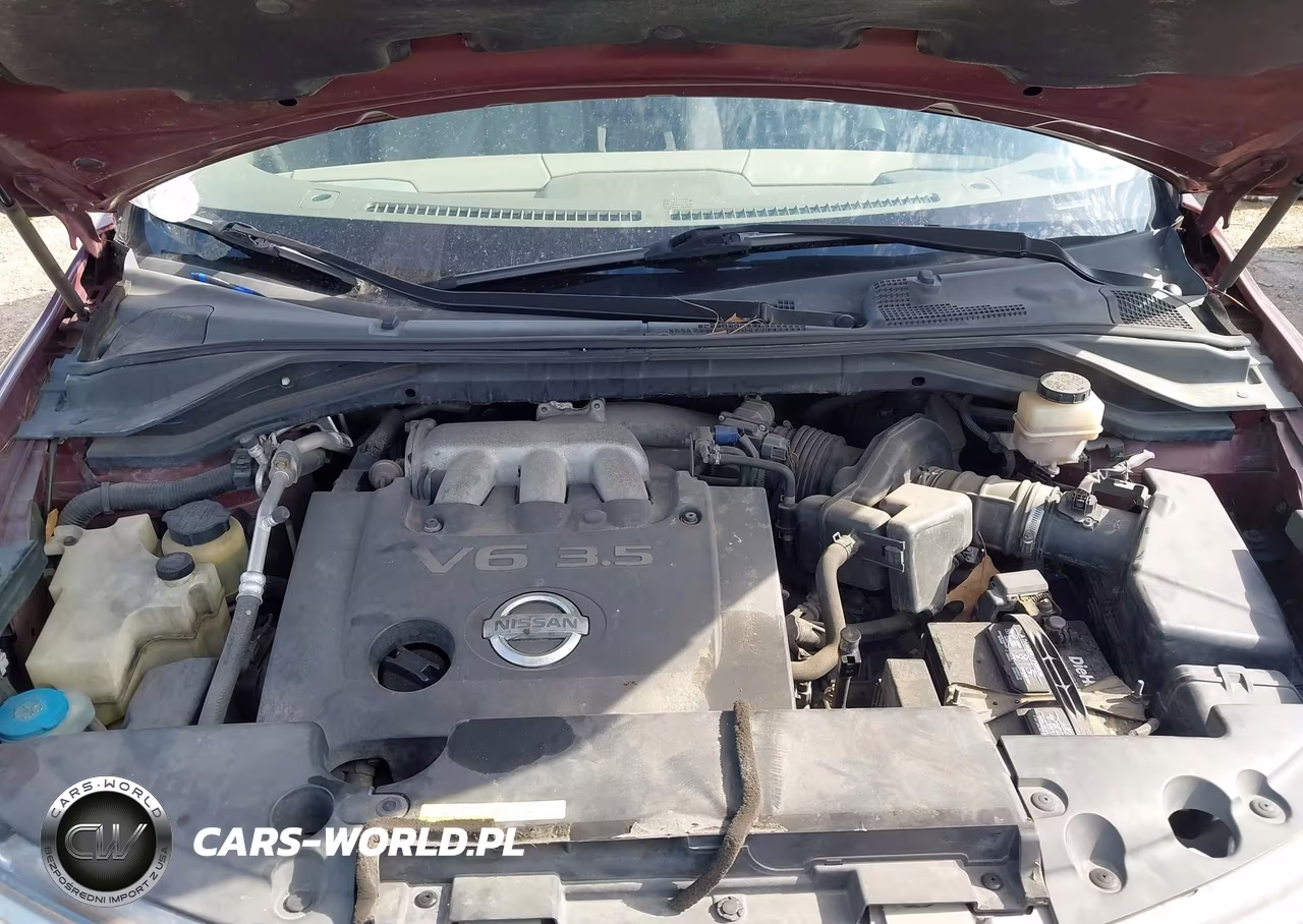 2006 Nissan Murano Sl VIN:JN8AZ08T46W413977 - 10