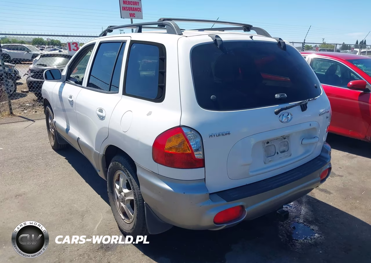 2002 Hyundai Santa Fe Gls-Lx VIN:KM8SC13D12U180424 - 3