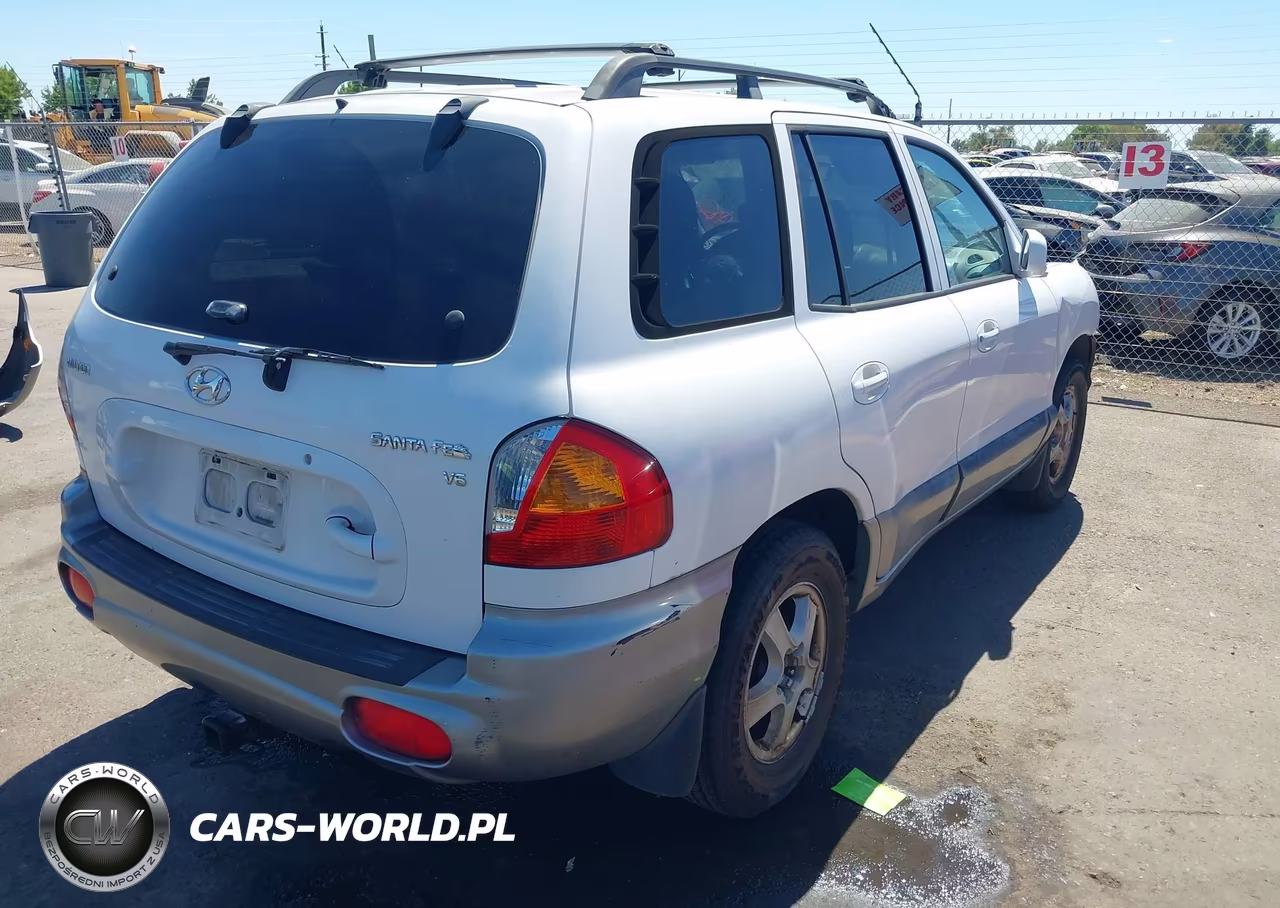 2002 Hyundai Santa Fe Gls-Lx VIN:KM8SC13D12U180424 - 4
