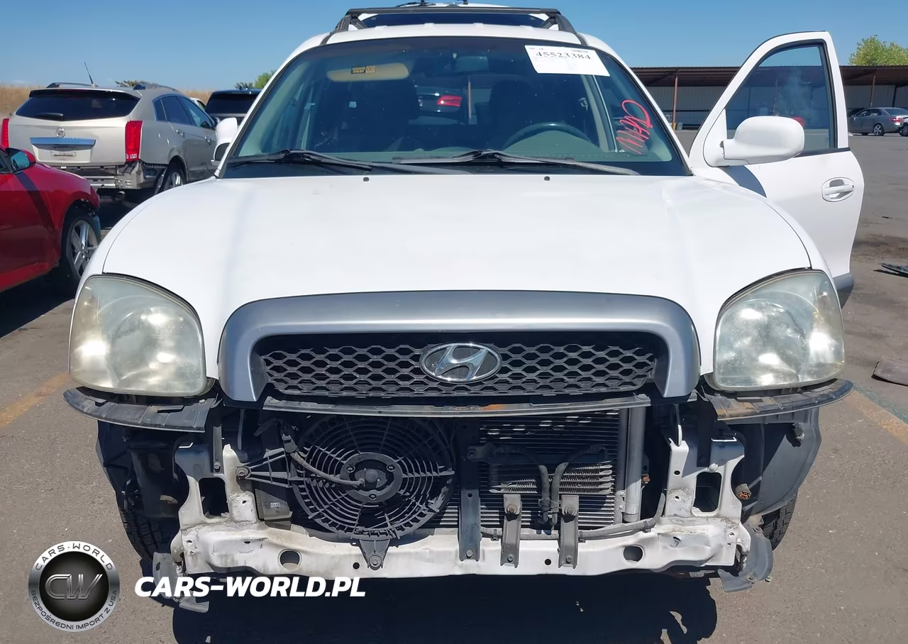 2002 Hyundai Santa Fe Gls-Lx VIN:KM8SC13D12U180424 - 6